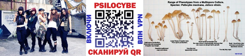 Галлюциногенные грибы мицелий Купить Трубчевск